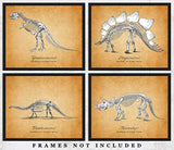 Impresiones de arte de pared de fósiles de dinosaurios
