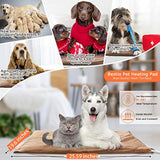 Almohadilla de calefacción para mascotas con certificación