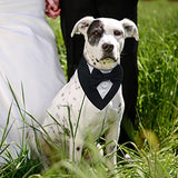 FUAMEY Esmoquin para perro, collar formal de boda para perro, collar de perro con pajarita, disfraz de cumpleaños ajustable, fiesta de mascotas, traje de boda para perro, traje de San Valentín, disfraz de cosplay para mascotas pequeñas, medianas y grandes