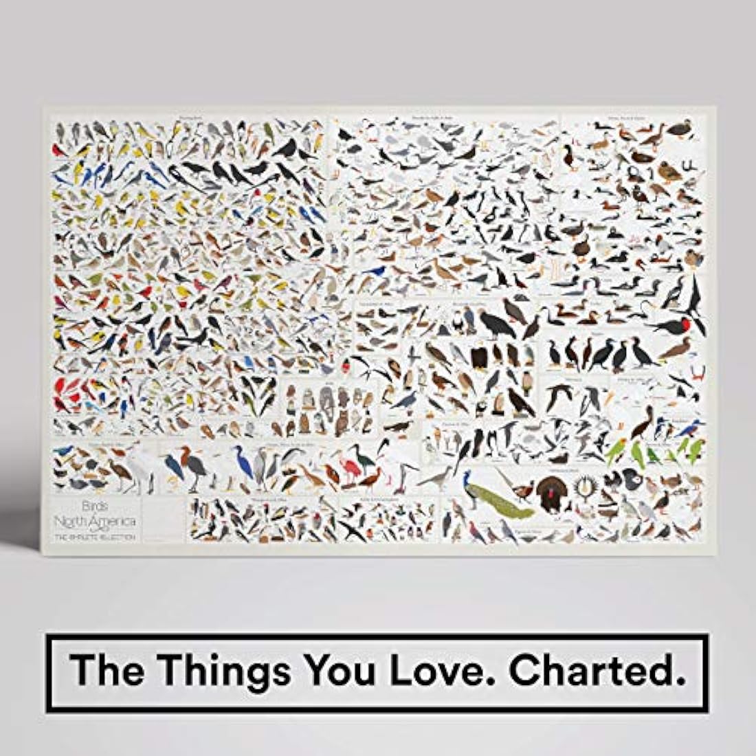 Pop Chart Lab  cuadros decorativos