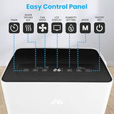 Deshumidificador electrónico compacto SereneLife SLDEHU50