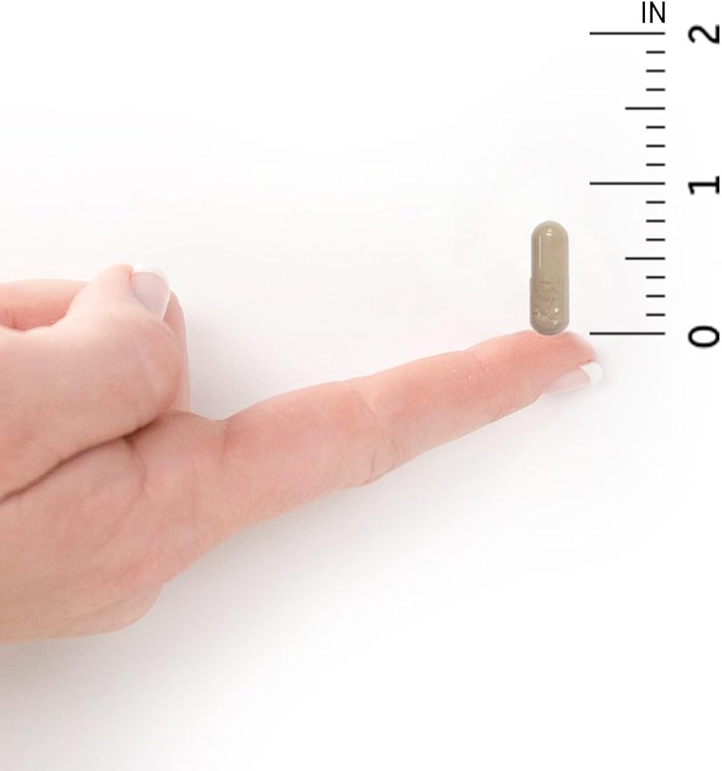 Suplementos Alimenticios de zinc vegano