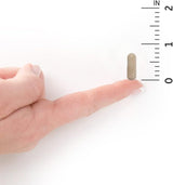 Suplementos Alimenticios de zinc vegano