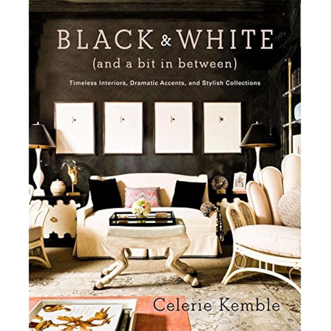 libro Blanco y negro