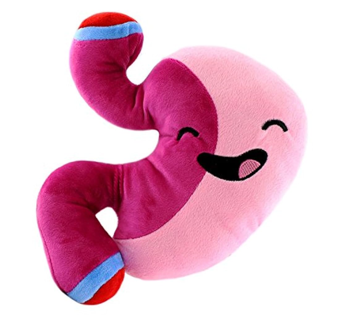 Juguete de peluche, 10 pulgadas después de la cirugía Pal