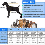 Chaleco salvavidas para perros, chaleco salvavidas para perros, chaleco salvavidas con asa para natación, piscina, playa, canotaje, para cachorros pequeños, medianos y grandes