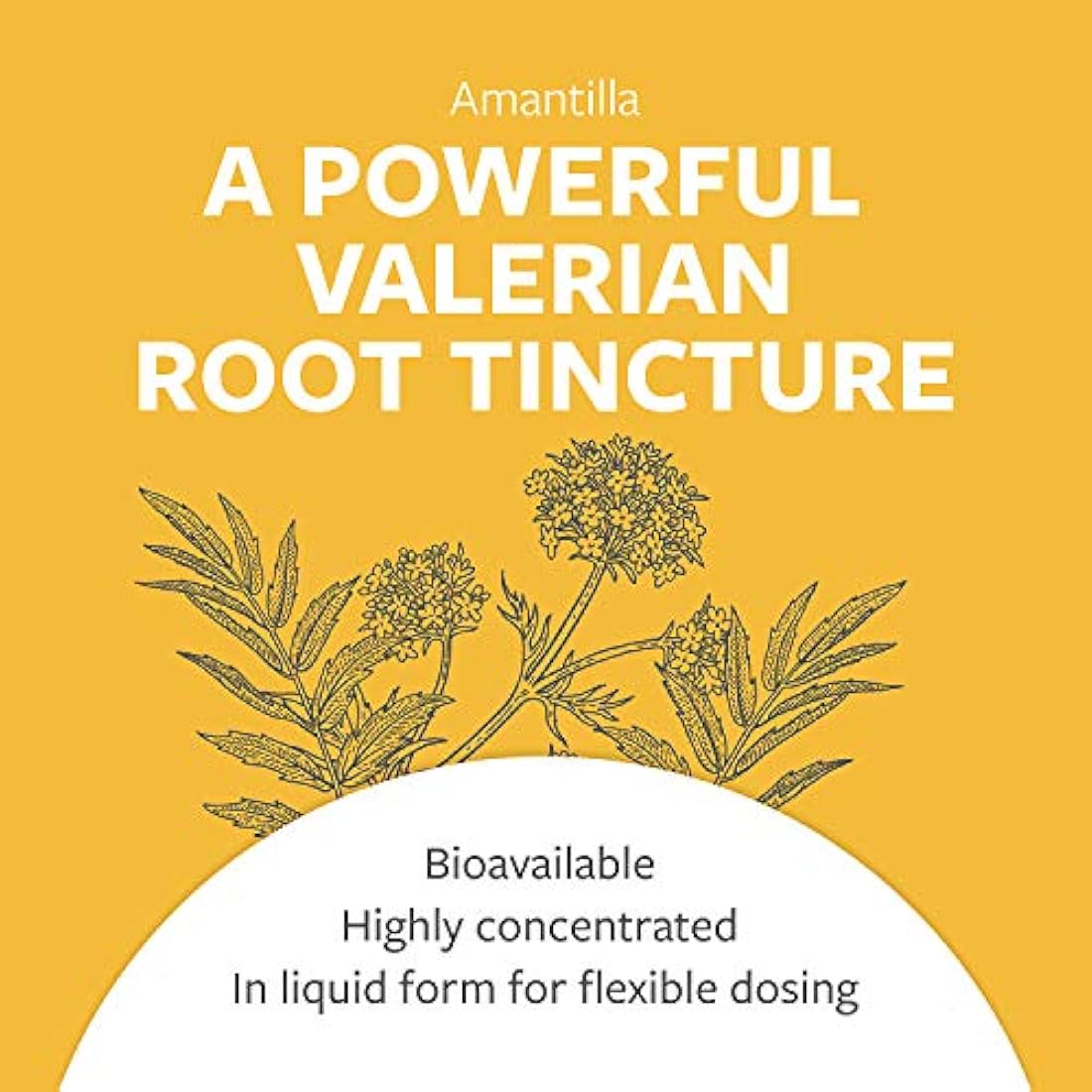 NutraMedix Valerian Extracto  Raíz-Amantilla,apoya el sueño
