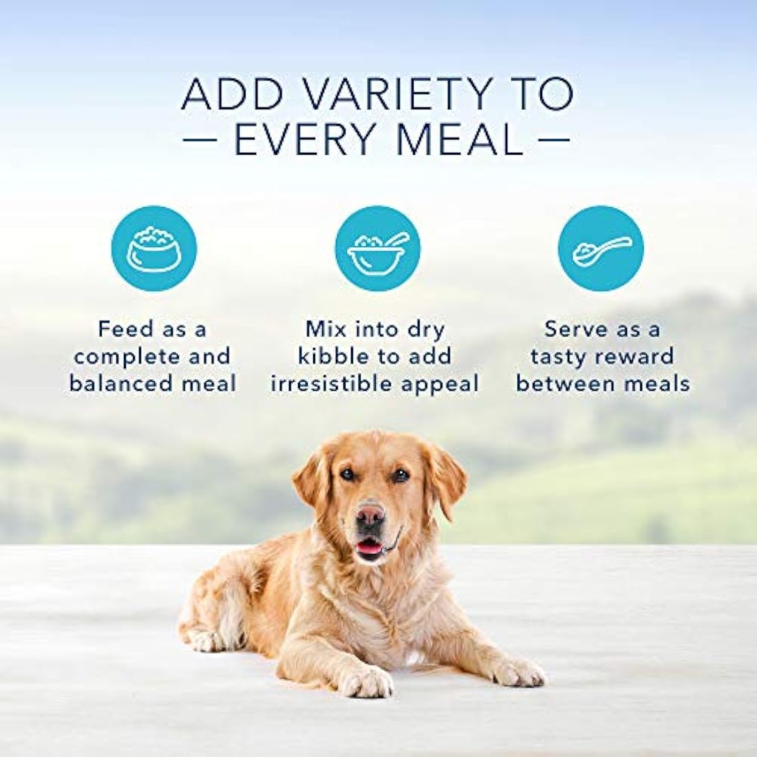 Blue Buffalo Homestyle  adultos mojado comida para perro