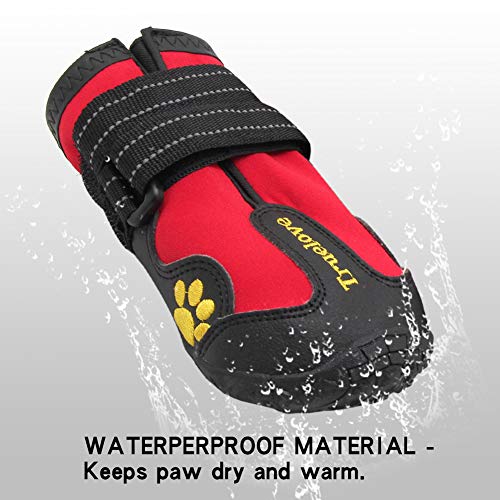 Botas impermeables para perros con las mejores correas