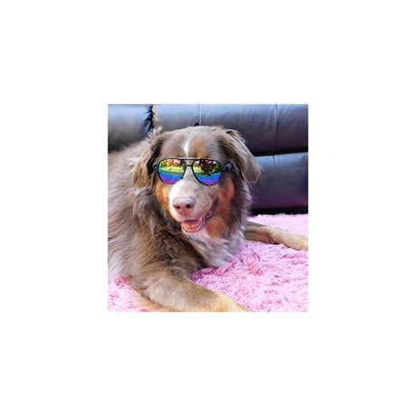Disfraces Gafas de sol de aviador para disfraz de perro