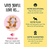 juguetes para gatos de peluche para niños