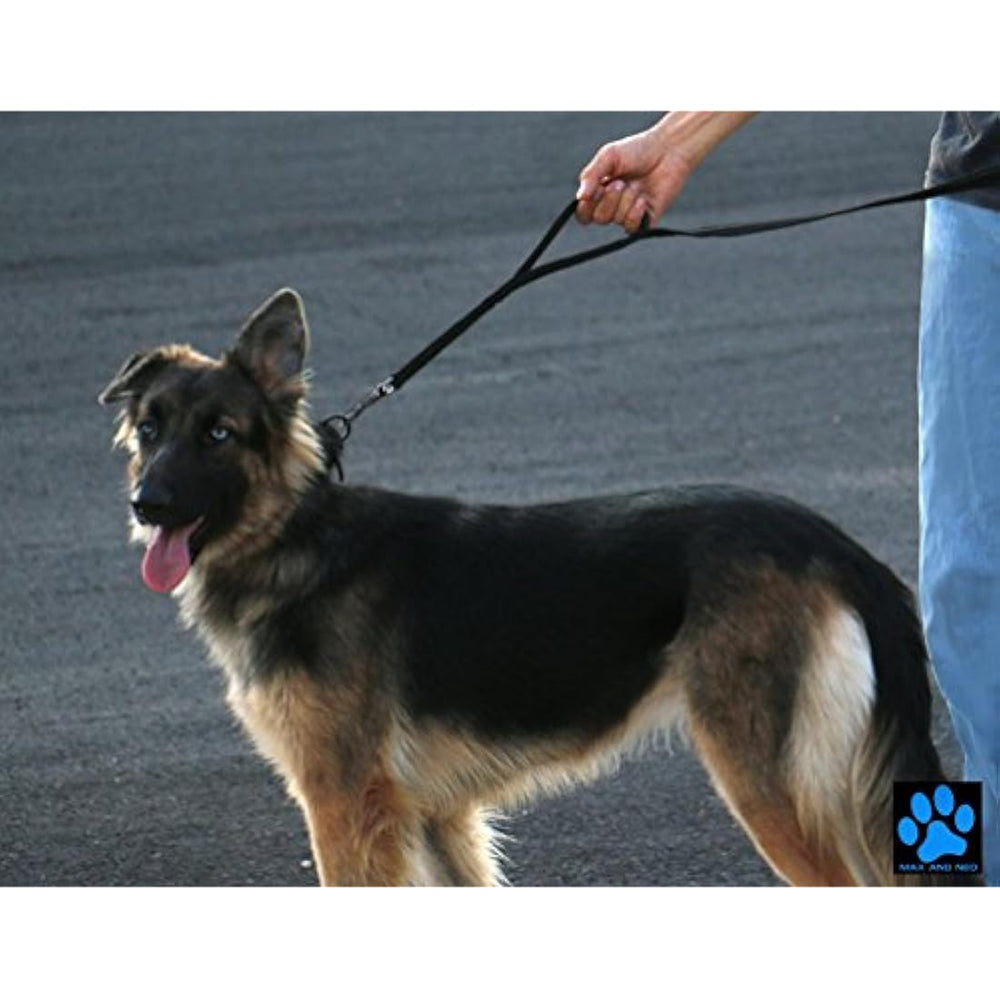 Correa para perros Reflexivo (negro, 6 pies)