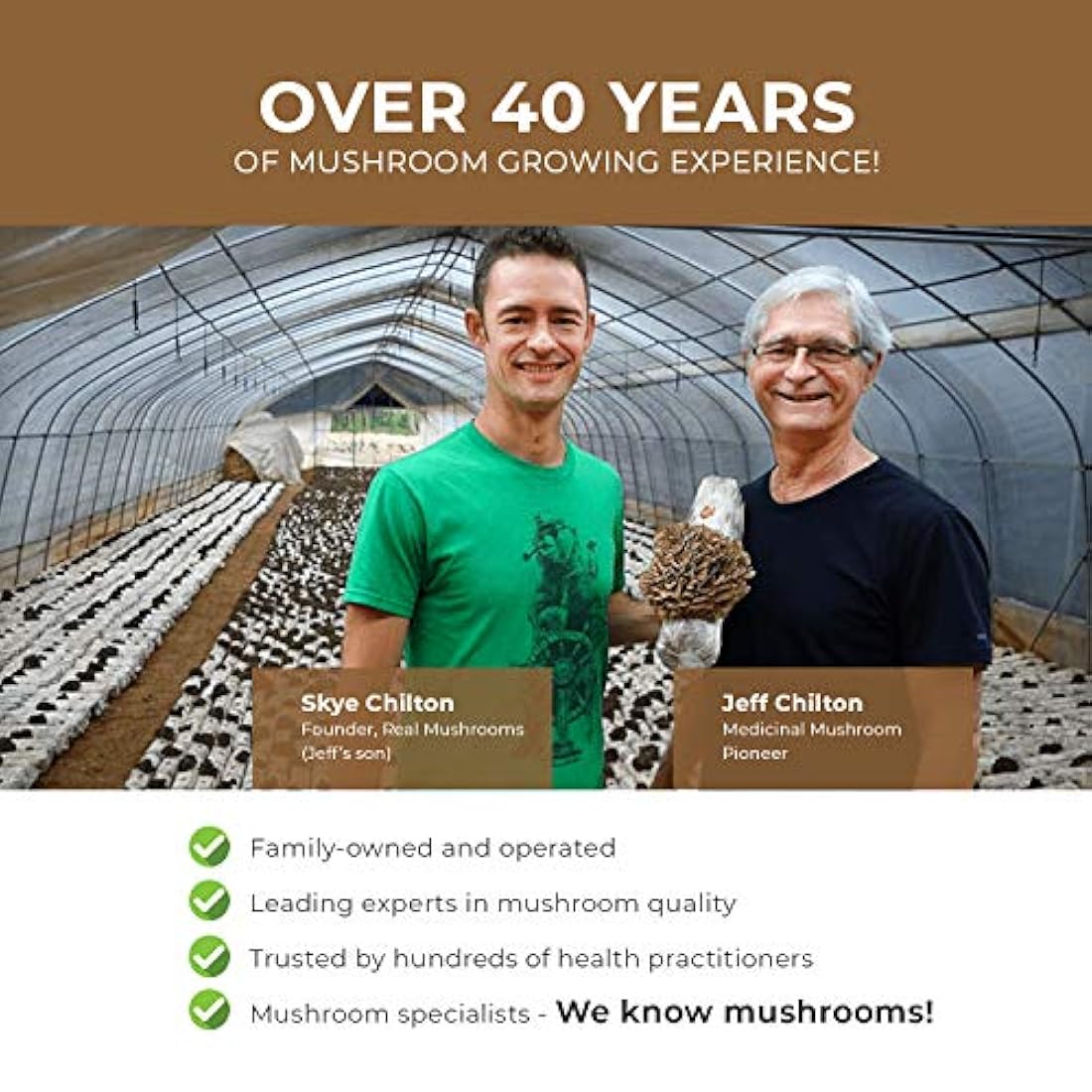 Extracto de hongos en polvo de Cordyceps por Real Mushrooms