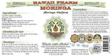Moringa alcohol-free Extracto de líquido
