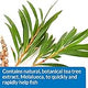 Extracto natural árbol té para curar infecciones bacterianas