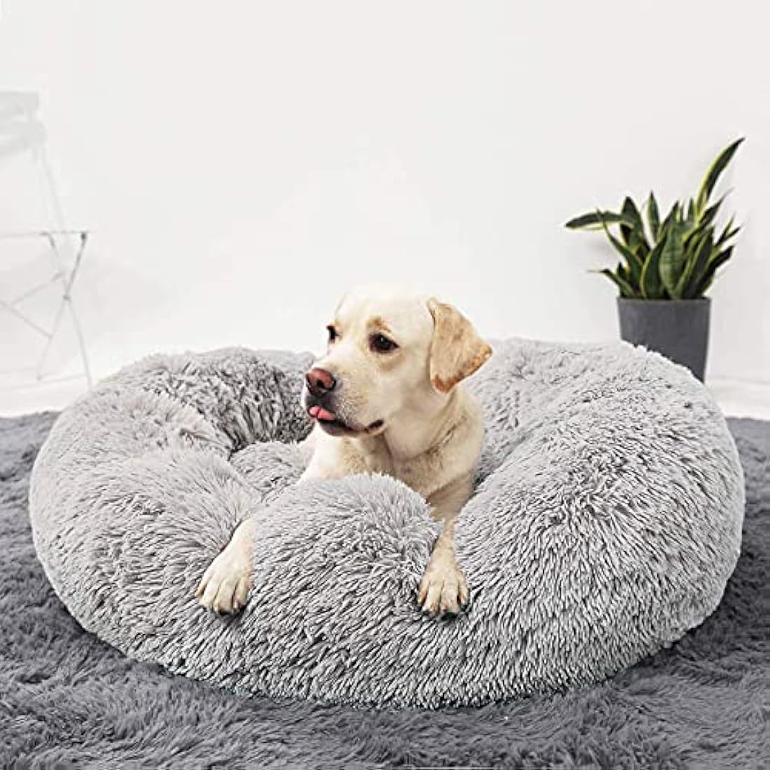 Camas para perros grandes para interiores 30.0 in