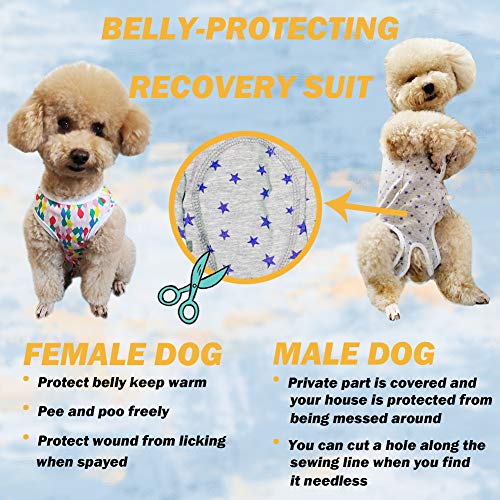 Camisa de recuperación de perro para cachorros, ropa protectora de heridas para animales pequeños