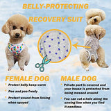 Camisa de recuperación de perro para cachorros, ropa protectora de heridas para animales pequeños