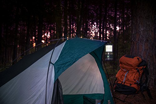 Linterna de mano 540 Lumen utiliza baterías alcalinas