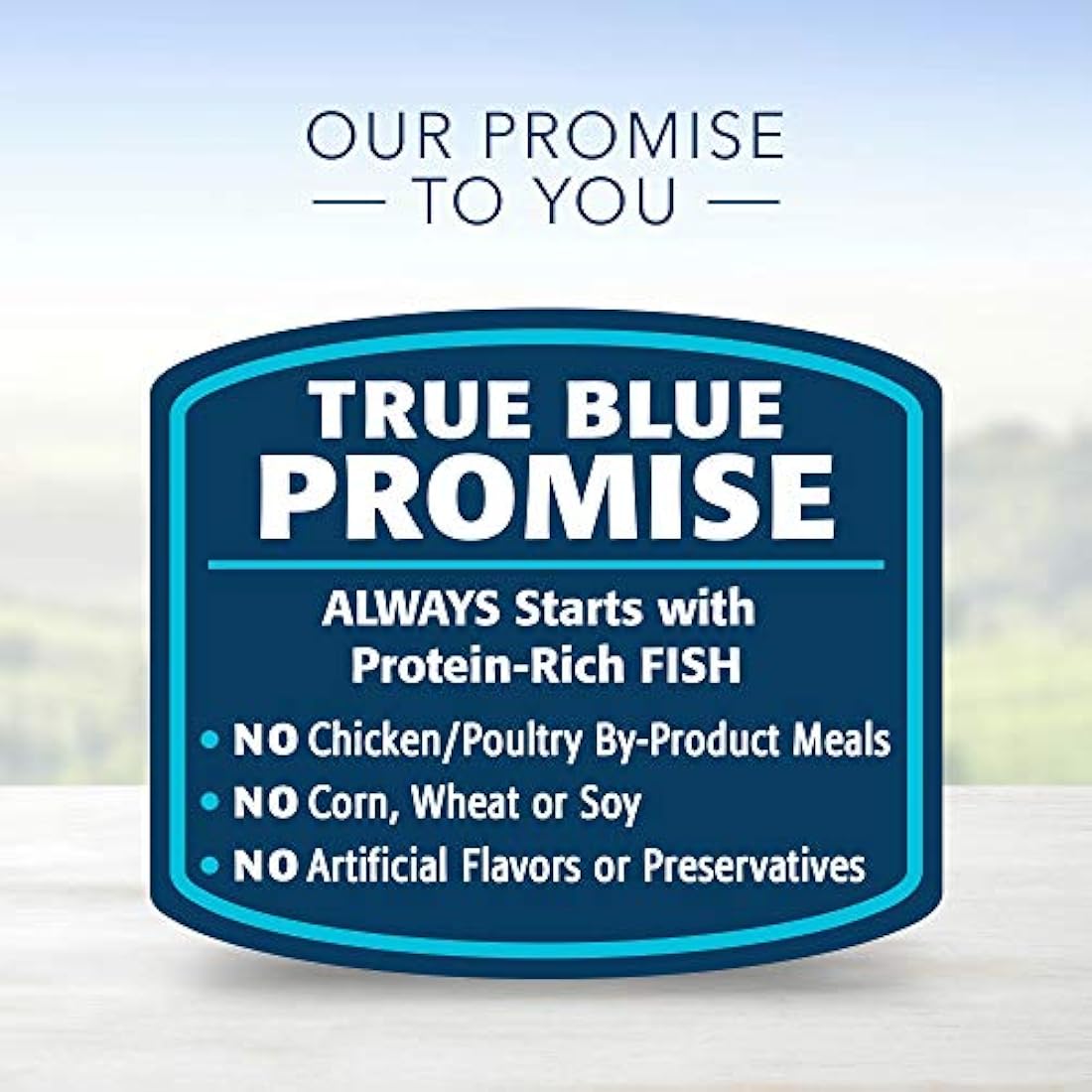 Blue Buffalo Homestyle  adultos mojado comida para perro