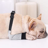 Yealay Manga de recuperación para las piernas delanteras de perro, suave, acolchado, codo para perro, protector de heridas, pantalones cortos para perros pequeños y medianos (S)
