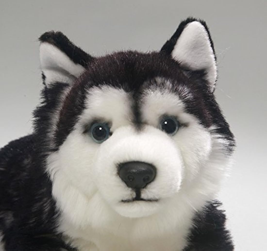Peluches Husky 14 pulgadas