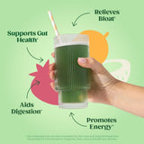 Polvo de Superalimentos Bloom, Enzimas Digestivas, 15 Sticks
