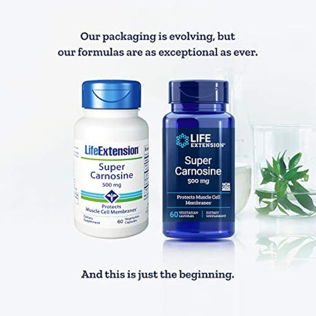 60 cápsulas vegetarianas 500mg