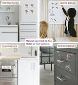 Imán de refrigerador Dolphin Rockstone – Ocean Life Tema –