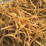 Shatavari 1000mg  orgánicas de Shatavari 90 cápsulas