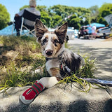 QUMY - 2 botas para perros para caminar en el pavimento caliente en el verano; botas resitentes al calor con malla respirable, antideslizantes y con líneas reflectantes (color rojo, talla 2)
