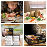 Nature Gear Dino - Juego de 12 huevos para buceo