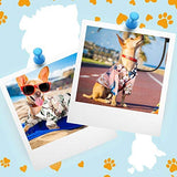 4 camisetas de verano para mascotas, estilo hawaiano, camisa floral para perro, camisetas con estampado hawaiano, camisetas transpirables para mascotas, ropa fresca para playa, playa, cachorros, sudadera para cachorros pequeños
