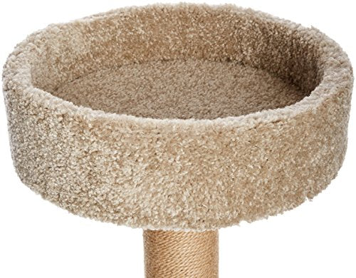 Árbol de gatos con postes rascadores