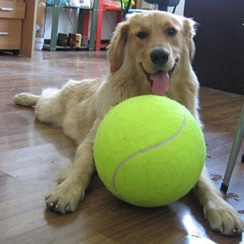 Pelota de tenis Banyun Giant 24 CM Pet TOY Signature MEGA
