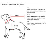 Disfraz para perros y gatos