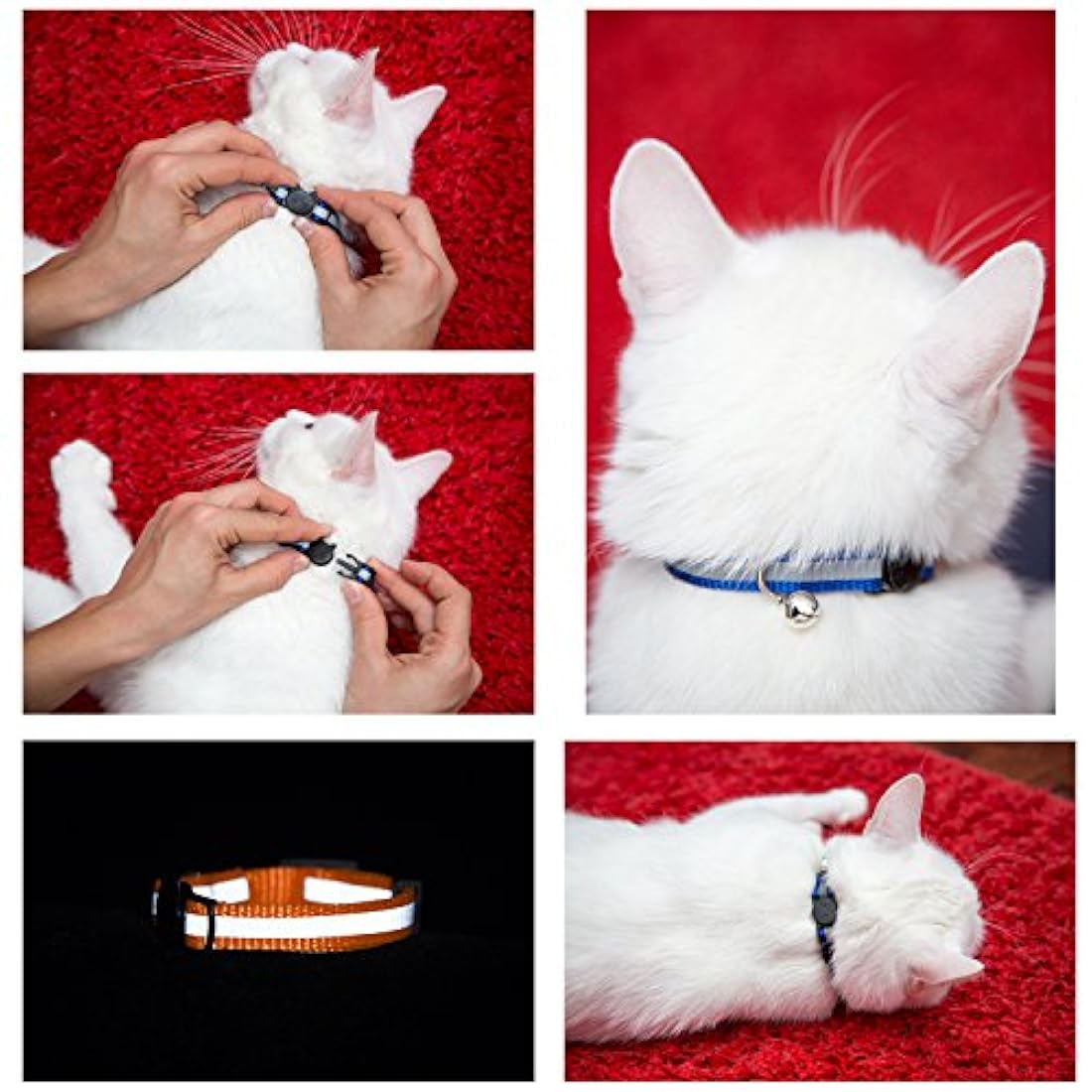 Collar para gato con campana y cinta reflectora, de 3 o 6