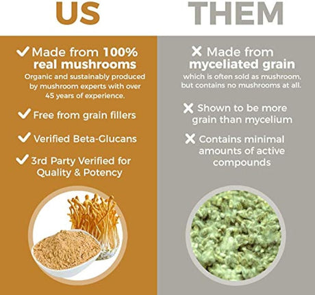 Extracto de hongos en polvo de Cordyceps por Real Mushrooms
