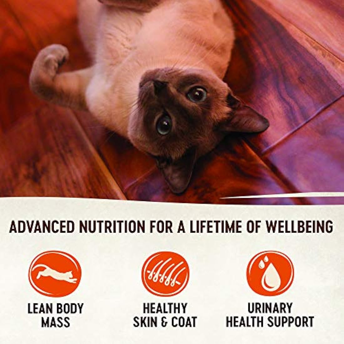 alimentos húmedos enlatados naturales para gatos