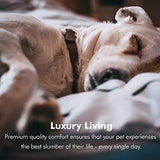 Cama para perros Friends Forever 100&nbsp;% gamuza, edición especial