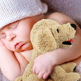 Peluche de perro