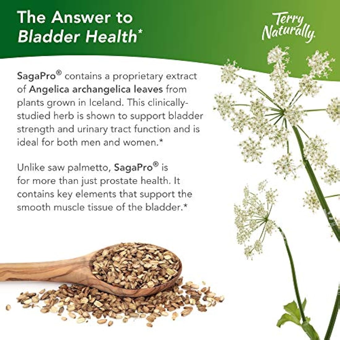 Terry Naturalmente sagapro vejiga Salud – 60 tabs Pack de 2