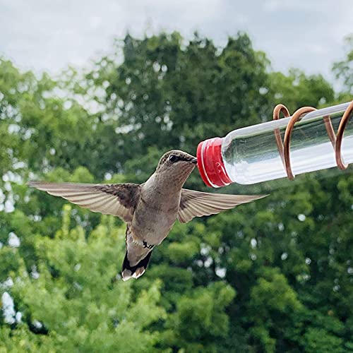 Comedero para colibríes de ventana de aluminio SWEET FEEDERS