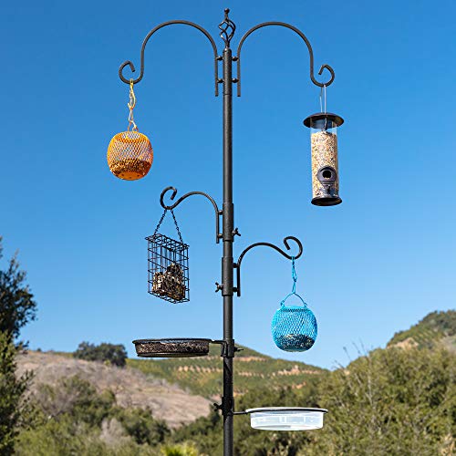Estación múltiple de alimento para pájaros, color negro