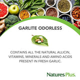 Nature's Plus - Garlite 500 mg Vcaps 90