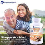 Suplemento de hongos puros – Mane de leones, Reishi, Chaga