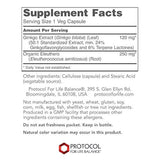 Protocolo para Equilibrio en la vida – Ginkgo Biloba 120 mg