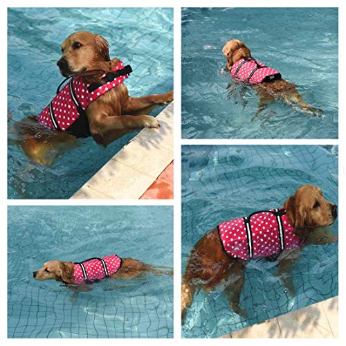 Doglay Chaleco salvavidas para perros con rayas reflectantes