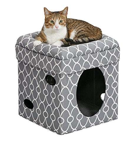 Casas de gato