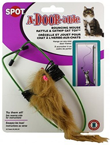 Juguete ético para gatos que rebota